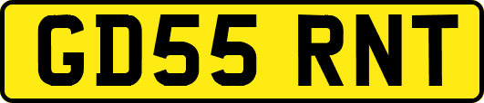 GD55RNT