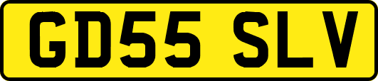 GD55SLV