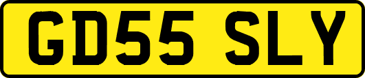 GD55SLY