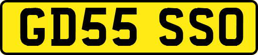 GD55SSO