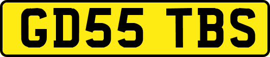 GD55TBS