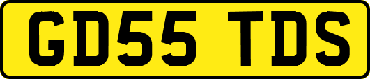 GD55TDS