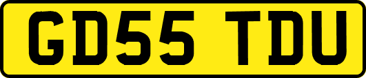 GD55TDU
