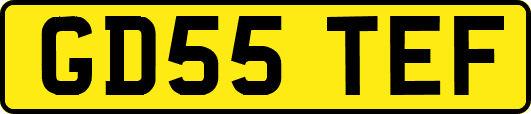 GD55TEF