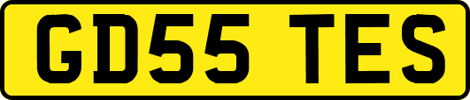 GD55TES