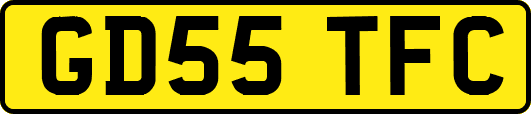 GD55TFC