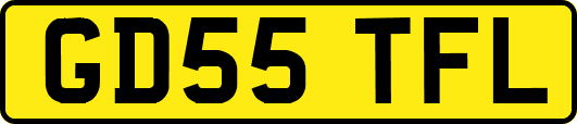 GD55TFL