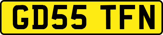 GD55TFN