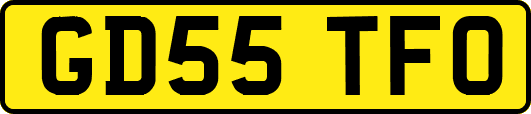 GD55TFO