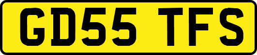 GD55TFS