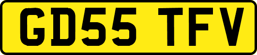 GD55TFV