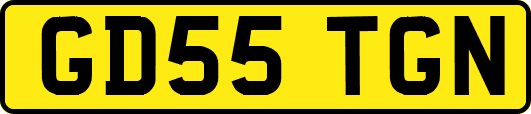 GD55TGN