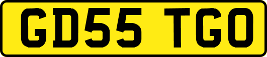GD55TGO