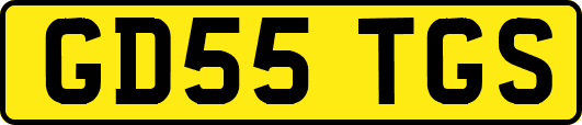 GD55TGS