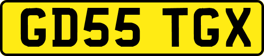 GD55TGX
