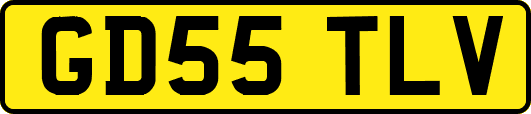 GD55TLV