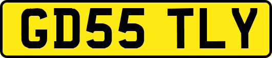 GD55TLY