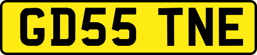 GD55TNE