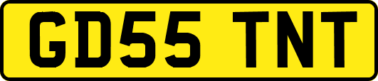GD55TNT