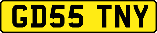 GD55TNY