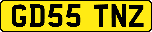 GD55TNZ