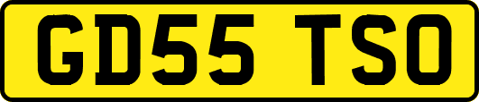 GD55TSO