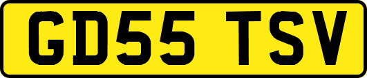 GD55TSV