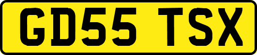 GD55TSX