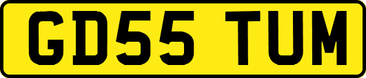 GD55TUM