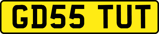 GD55TUT