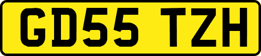 GD55TZH