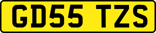 GD55TZS