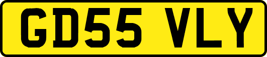 GD55VLY