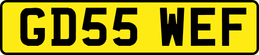 GD55WEF