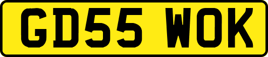 GD55WOK