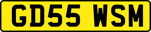 GD55WSM