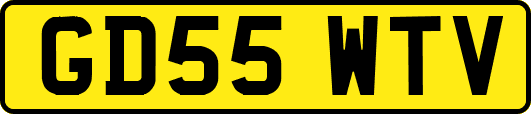 GD55WTV