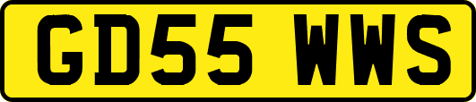 GD55WWS