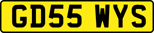 GD55WYS