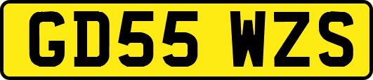 GD55WZS