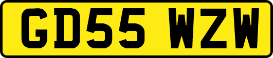 GD55WZW
