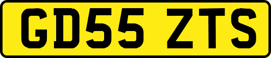 GD55ZTS