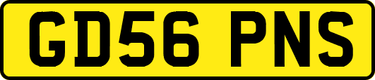 GD56PNS