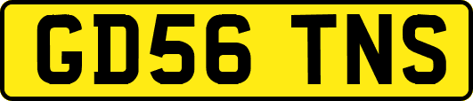 GD56TNS