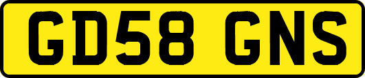 GD58GNS