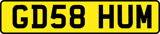 GD58HUM