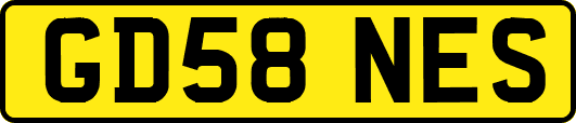 GD58NES