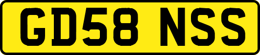 GD58NSS