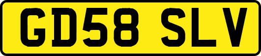 GD58SLV