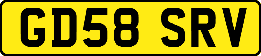 GD58SRV